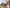 what is a timeshare