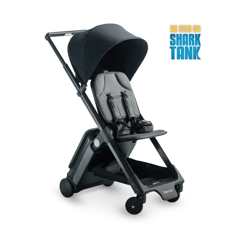 Travel Easy with Your Luggage Stroller on a Plane TernX