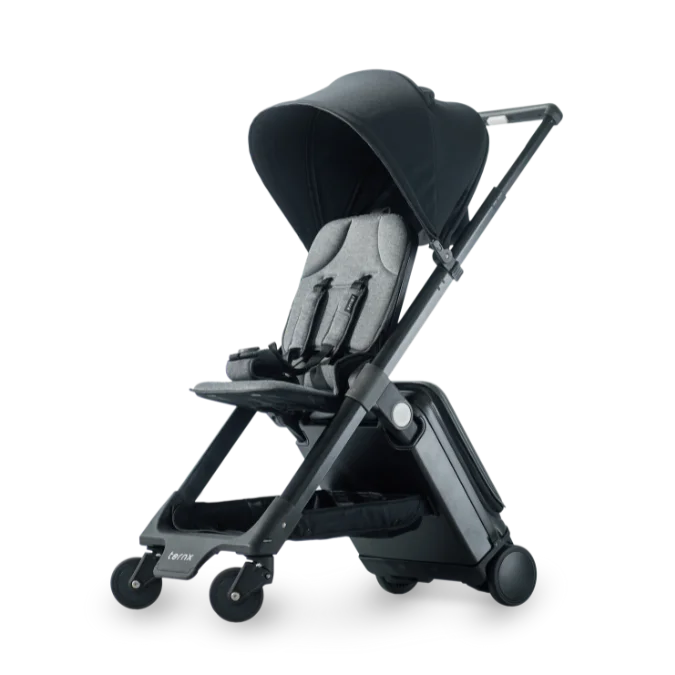 TernX Carry On Stroller the best stroller for traveling abroad