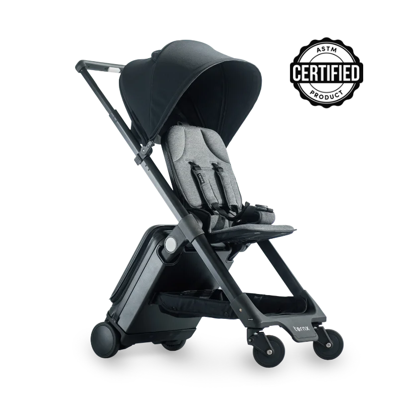 Carry on buggy online